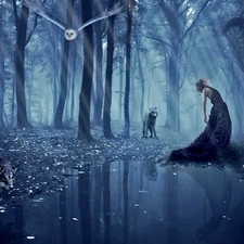 wolves, trees, reflection, viewes, Women, owl, water