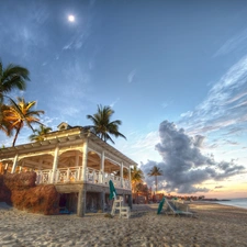 Palms, sea, Beaches