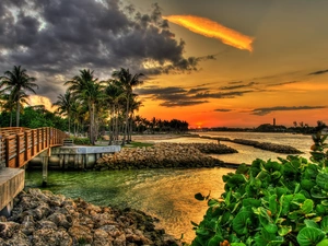 Palms, bridges, sun, lake, west