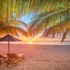 Palms, sea, Umbrella, Beaches, Maldives, deck chair, Great Sunsets