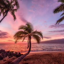 Aloha State Hawaje, Palms, Great Sunsets, sea