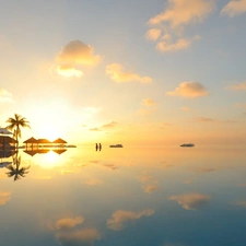 Palms, Houses, sun, sea, west