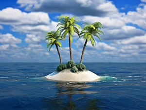 Palms, sea, Island