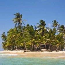 Palms, small, Islet