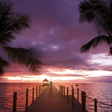 Palms, pier, west, sun, sea