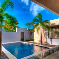 Palms, house, Pool