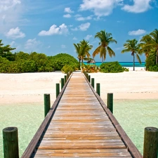 sea, Beaches, Palms, pier