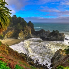 sea, coast, Palms, rocks