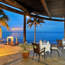 Palms, Restaurant, sea