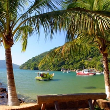 Palms, tropic, bay, Mountains, Ocean