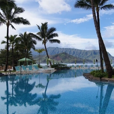 Palms, Tropical, Mountains, Hotel hall, sea