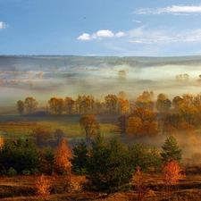 viewes, field, panorama, autumn, Fog, trees