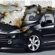 Peugeot, burnt, Paper, 307