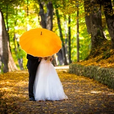 young, Umbrella, autumn, Steam