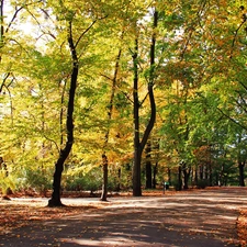 Autumn, Park