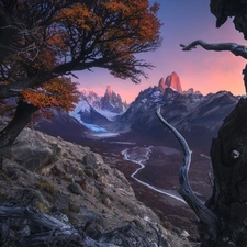 Patagonia, Argentina, Los Glaciares National Park, autumn, viewes, River Rio de las Vueltas, Fitz Roy Mountain, trees, Mountains