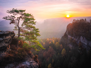 Děčínská vrchovina, Sunrise, pine, rocks, viewes, Saxon Switzerland National Park, Germany, trees