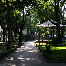 trees, lane, Park, viewes