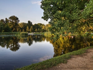 Park, trees, Path, lake