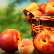 peaches, basket, nectarines