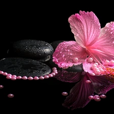 Pearl, Spa, hibiskus, Stones, Pink