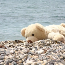 pebbles, water, teddy bear, Plush, White