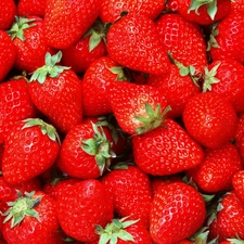 peduncle, Mature, strawberries
