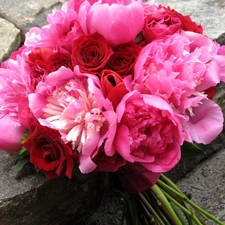 peony, bouquet, pink