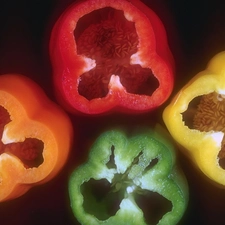 peppers, four, colors