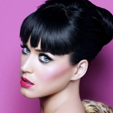 songster, Katy Perry