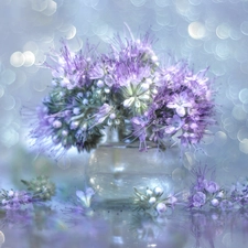 Lacy Phacelia, vase, Bokeh, Flowers