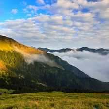 car in the meadow, a man, woods, Fog, Mountains, photographer