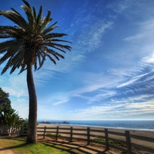 ligh, Beaches, Palm, flash, clouds, Coast, pier, luminosity, sun, Przebijaj?ce