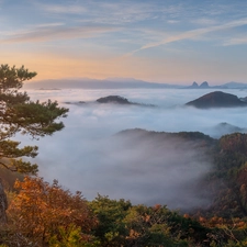 Fog, autumn, trees, pine, Sunrise, Mountains