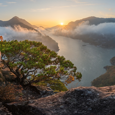 River, Great Sunsets, pine, Fog, rocks, Mountains