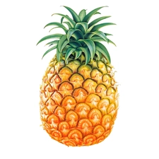 fruit, pineapple