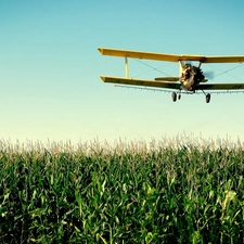 plane, corn, Field