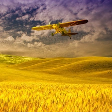 Field, plane