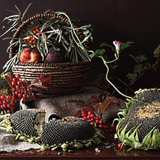 Nice sunflowers, basket, Plant