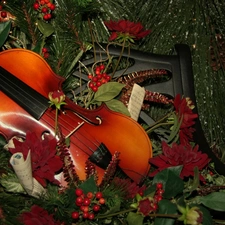 Plant, violin, Tunes