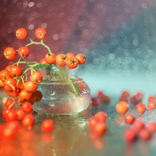 Plant, vase, Red, Fruits, decoration