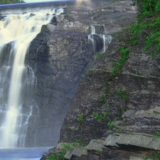 Plants, waterfall, rocks