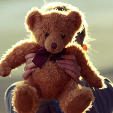 Kid, teddy bear, plush toy