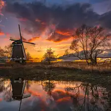 Pond - car, trees, photomontage, viewes, reflection, clouds, Great Sunsets, Windmill