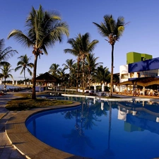 Palms, Hotel hall, Pool