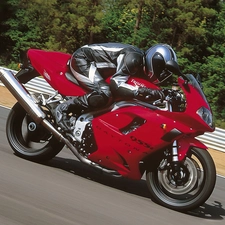 aerodynamic, Triumph Daytona 955i, position