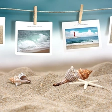 Beaches, Sand, postcards, Shells