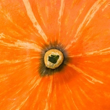 Centre, pumpkin
