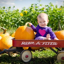 Kid, trolley, pumpkin, Smile