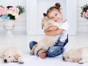 girl, puppies, Golden Retrievery, Dogs